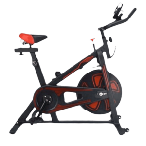 Exercise Bike (KING-C319)