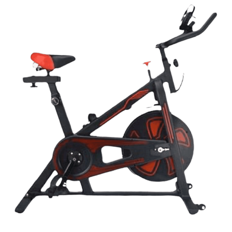 Exercise Bike (KING-C319)