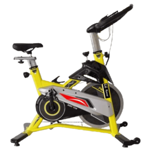 Exercise Bike (Heavy) (KING-C347)