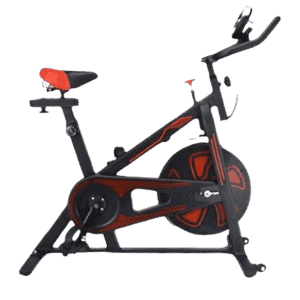 Exercise Bike (KING-C319)