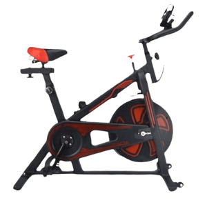 Exercise Bike (KING-C319)